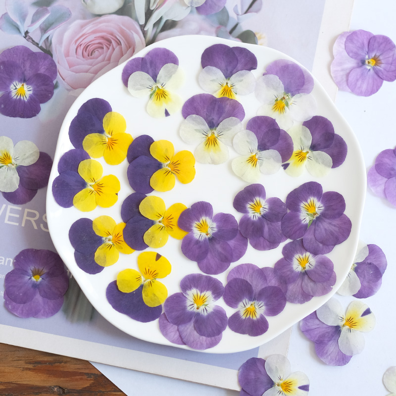 12pcs,nature Pansy Dried Flowe - огляд і ціна Photo Beauty Makeup