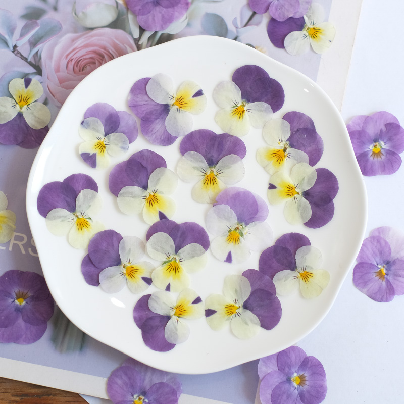 12pcs,nature Pansy Dried Flowe - огляд і ціна Photo Beauty Makeup