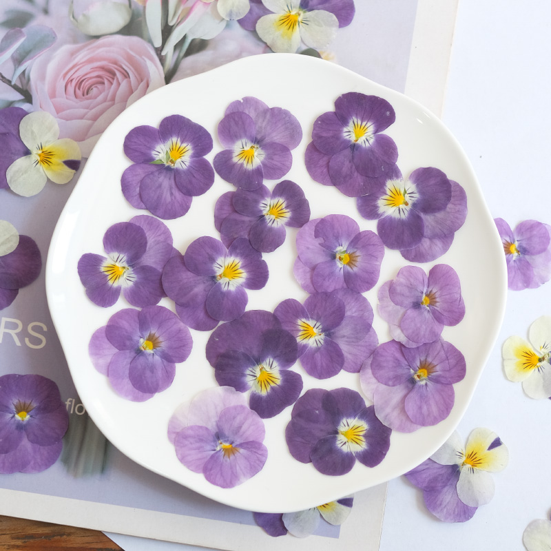 12pcs,nature Pansy Dried Flowe - огляд і ціна Photo Beauty Makeup